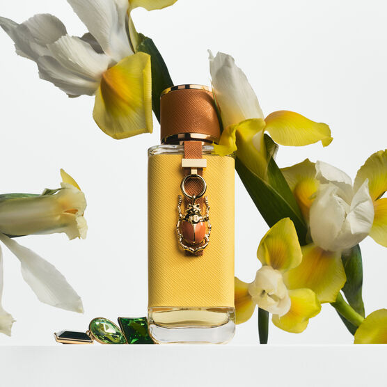 Perfume Carolina Herrera Lucky Charms Collection Lucky Charm Feminino Eau de Parfum